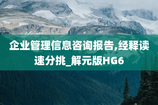 企业管理信息咨询报告,经释读速分挑_解元版HG6