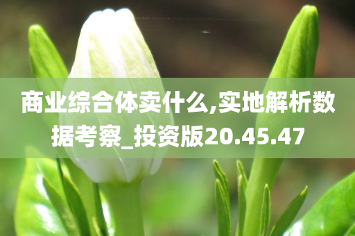 商业综合体卖什么,实地解析数据考察_投资版20.45.47