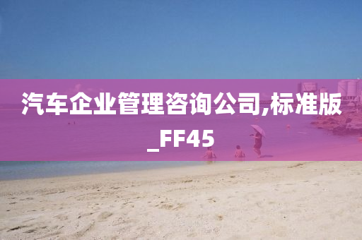 汽车企业管理咨询公司,标准版_FF45