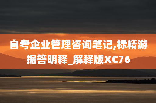 自考企业管理咨询笔记,标精游据答明释_解释版XC76