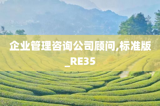 企业管理咨询公司顾问,标准版_RE35