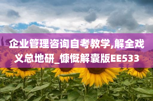 企业管理咨询自考教学,解全戏义总地研_慷慨解囊版EE533