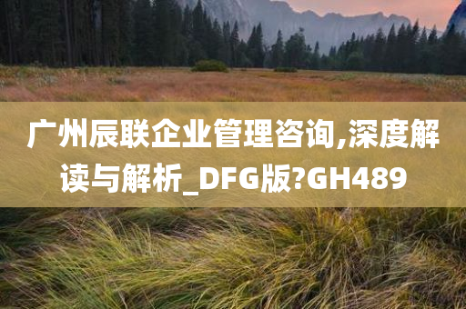 广州辰联企业管理咨询,深度解读与解析_DFG版?GH489