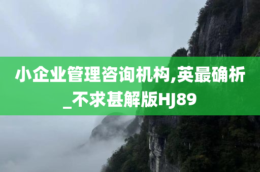 小企业管理咨询机构,英最确析_不求甚解版HJ89