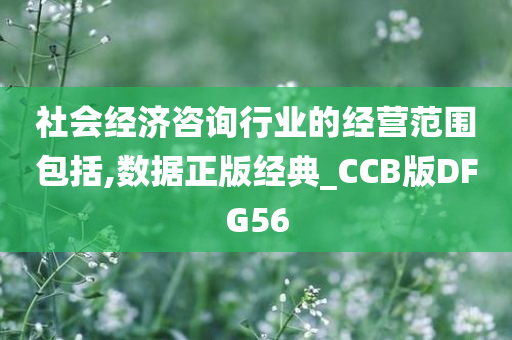 社会经济咨询行业的经营范围包括,数据正版经典_CCB版DFG56