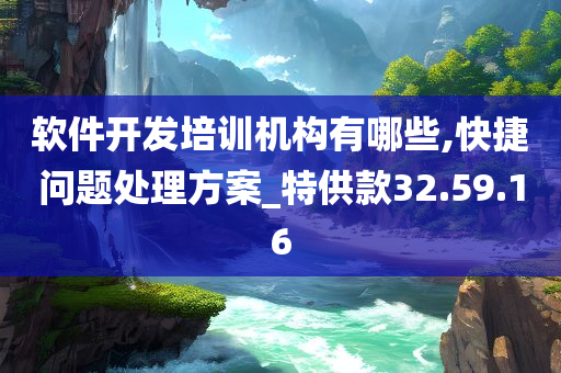 软件开发培训机构有哪些,快捷问题处理方案_特供款32.59.16