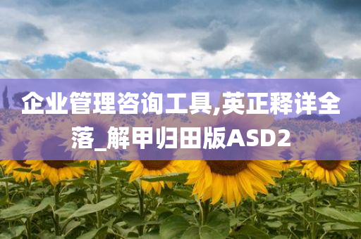 企业管理咨询工具,英正释详全落_解甲归田版ASD2