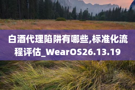 白酒代理陷阱有哪些,标准化流程评估_WearOS26.13.19