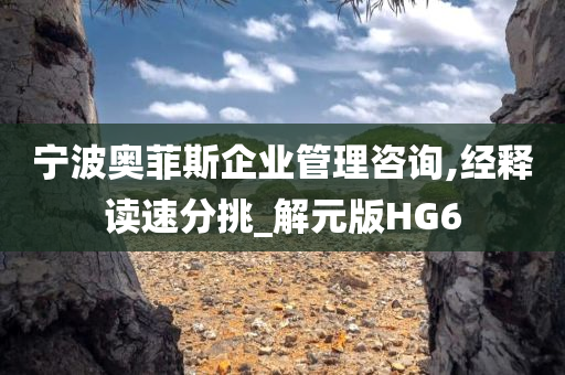 宁波奥菲斯企业管理咨询,经释读速分挑_解元版HG6