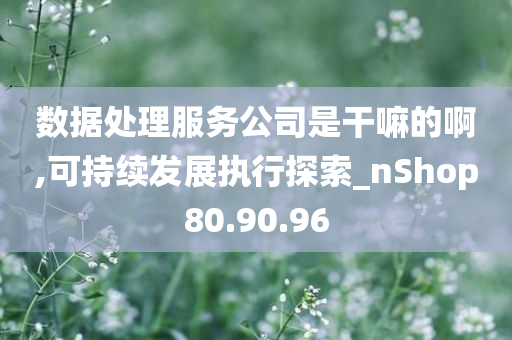 数据处理服务公司是干嘛的啊,可持续发展执行探索_nShop80.90.96