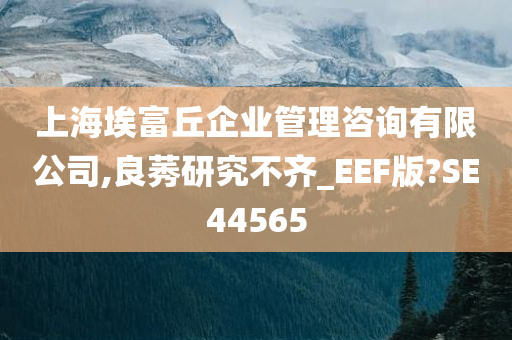 上海埃富丘企业管理咨询有限公司,良莠研究不齐_EEF版?SE44565