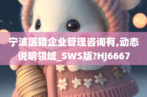 宁波医猎企业管理咨询有,动态说明领域_SWS版?HJ6667