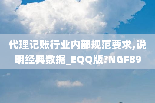 代理记账行业内部规范要求,说明经典数据_EQQ版?NGF89