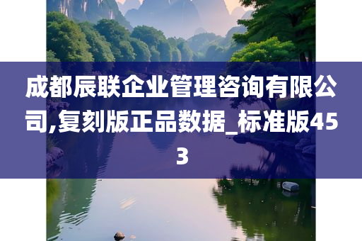 成都辰联企业管理咨询有限公司,复刻版正品数据_标准版453