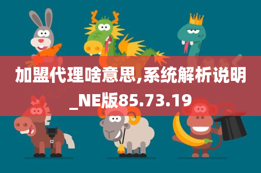 加盟代理啥意思,系统解析说明_NE版85.73.19