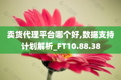 卖货代理平台哪个好,数据支持计划解析_FT10.88.38