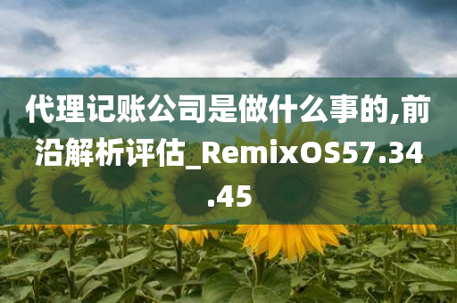 代理记账公司是做什么事的,前沿解析评估_RemixOS57.34.45