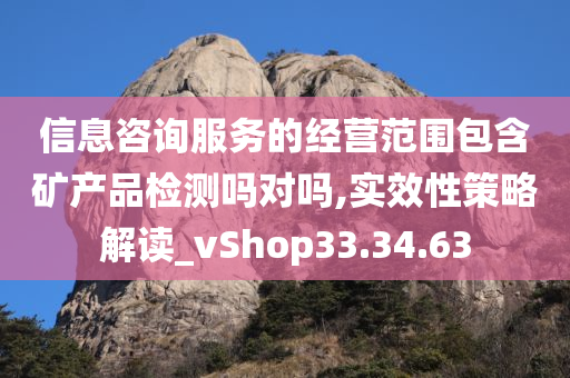 信息咨询服务的经营范围包含矿产品检测吗对吗,实效性策略解读_vShop33.34.63