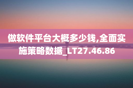 做软件平台大概多少钱,全面实施策略数据_LT27.46.86