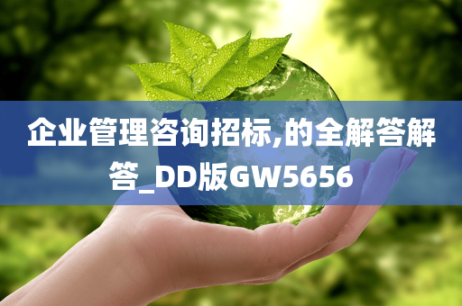 企业管理咨询招标,的全解答解答_DD版GW5656