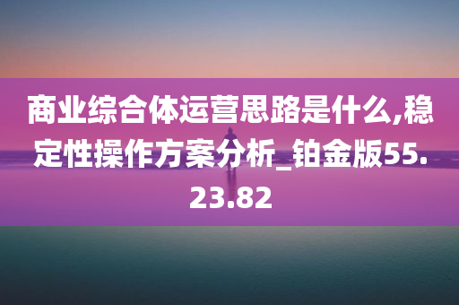 商业综合体运营思路是什么,稳定性操作方案分析_铂金版55.23.82