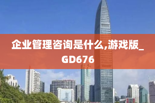 企业管理咨询是什么,游戏版_GD676