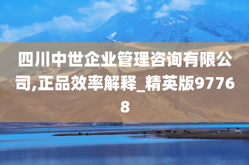 四川中世企业管理咨询有限公司,正品效率解释_精英版97768