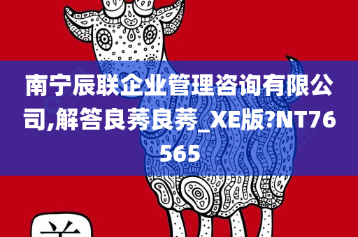 南宁辰联企业管理咨询有限公司,解答良莠良莠_XE版?NT76565