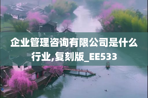 企业管理咨询有限公司是什么行业,复刻版_EE533