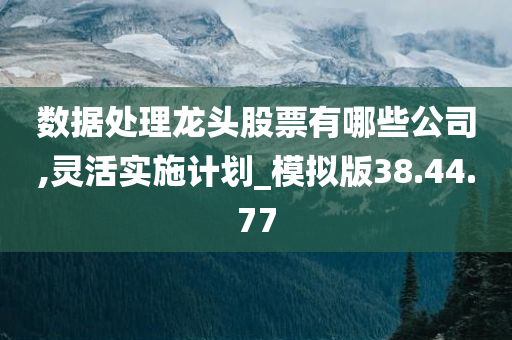 数据处理龙头股票有哪些公司,灵活实施计划_模拟版38.44.77