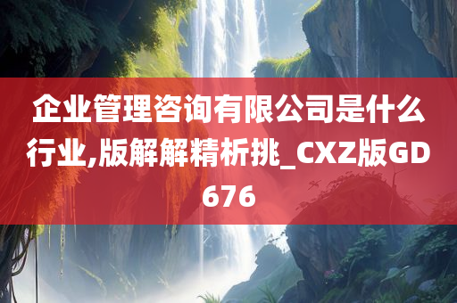 企业管理咨询有限公司是什么行业,版解解精析挑_CXZ版GD676