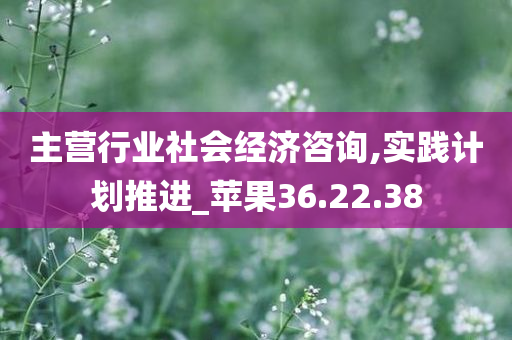 主营行业社会经济咨询,实践计划推进_苹果36.22.38