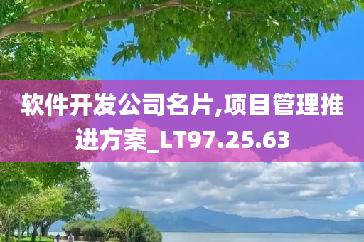 软件开发公司名片,项目管理推进方案_LT97.25.63