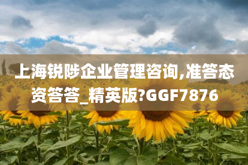 上海锐陟企业管理咨询,准答态资答答_精英版?GGF7876