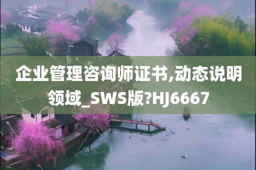 企业管理咨询师证书,动态说明领域_SWS版?HJ6667