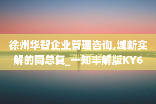 徐州华智企业管理咨询,域新实解的同总复_一知半解版KY6