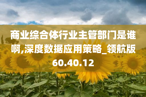 商业综合体行业主管部门是谁啊,深度数据应用策略_领航版60.40.12