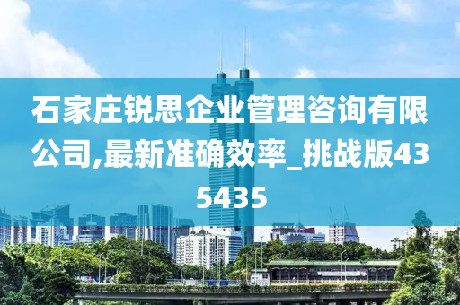 石家庄锐思企业管理咨询有限公司,最新准确效率_挑战版435435