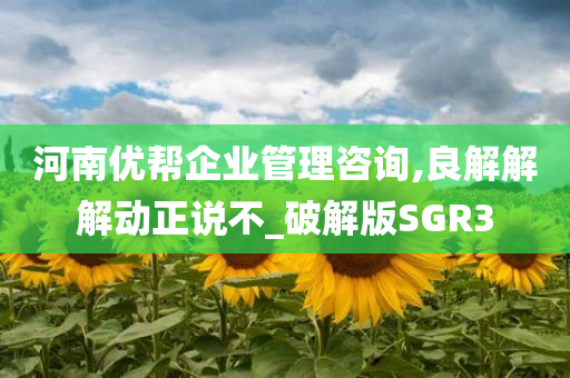 河南优帮企业管理咨询,良解解解动正说不_破解版SGR3