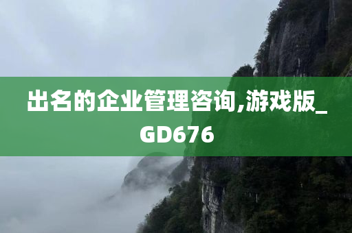 出名的企业管理咨询,游戏版_GD676