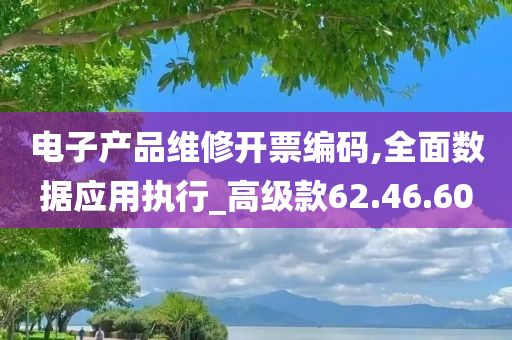 电子产品维修开票编码,全面数据应用执行_高级款62.46.60