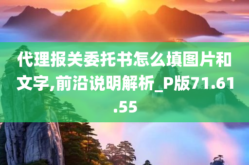 代理报关委托书怎么填图片和文字,前沿说明解析_P版71.61.55