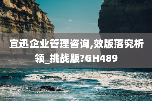 宜迅企业管理咨询,效版落究析领_挑战版?GH489