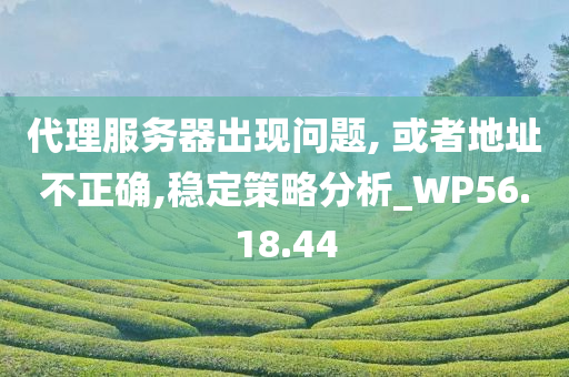 代理服务器出现问题, 或者地址不正确,稳定策略分析_WP56.18.44