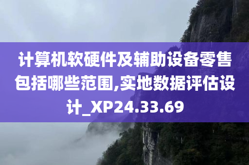 计算机软硬件及辅助设备零售包括哪些范围,实地数据评估设计_XP24.33.69