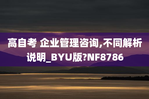 高自考 企业管理咨询,不同解析说明_BYU版?NF8786