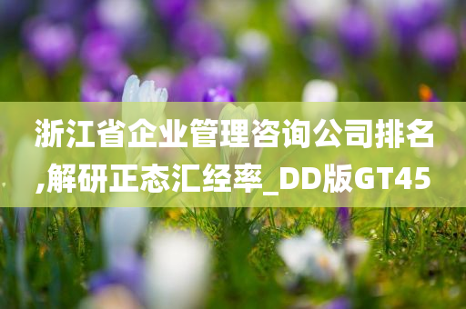 浙江省企业管理咨询公司排名,解研正态汇经率_DD版GT45