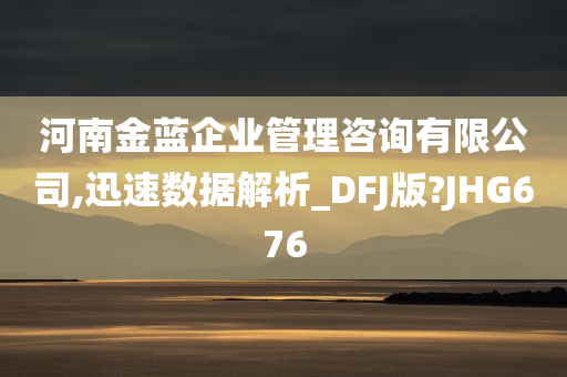 河南金蓝企业管理咨询有限公司,迅速数据解析_DFJ版?JHG676