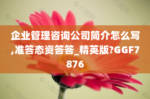 企业管理咨询公司简介怎么写,准答态资答答_精英版?GGF7876