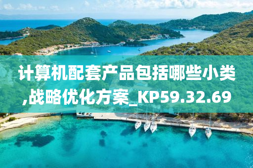 计算机配套产品包括哪些小类,战略优化方案_KP59.32.69